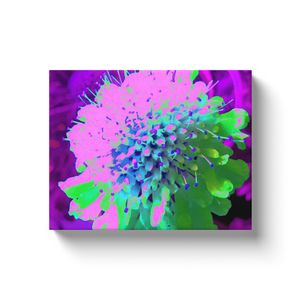 Canvas Wraps, Abstract Pincushion Flower in Pink Blue and Green