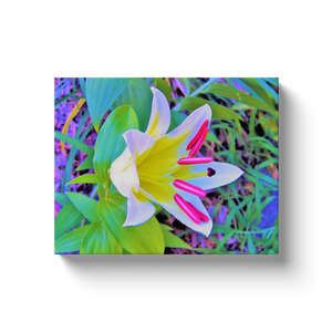 Canvas Wraps, Beautiful White Trumpet Lily with Yellow Center