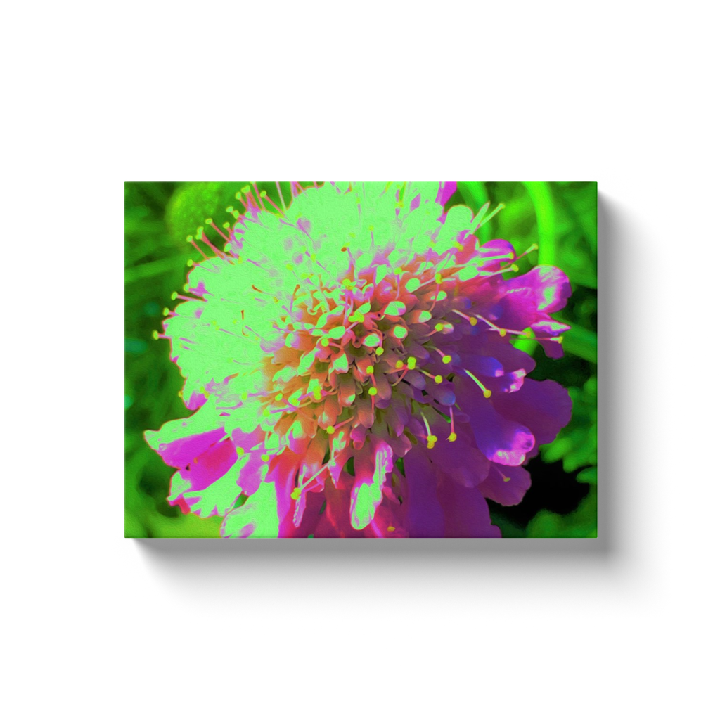 Canvas Wraps, Abstract Pincushion Flower in Lime Green and Purple