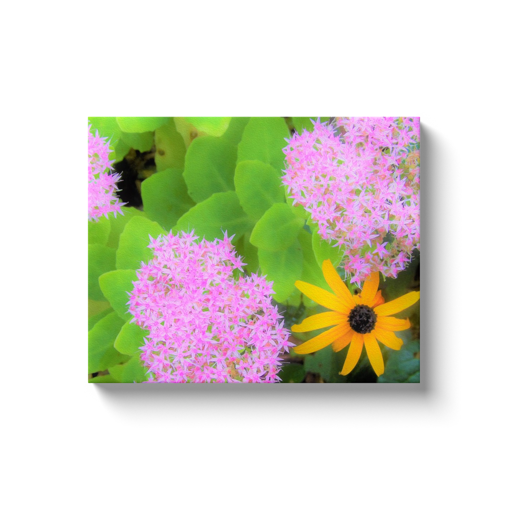 Canvas Wraps, Succulent Hot Pink Sedum and Yellow Rudbeckia