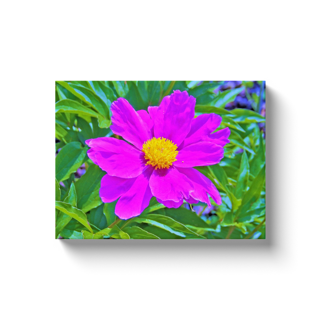 Canvas Wraps, Brilliant Ultra Violet Peony with Yellow Center