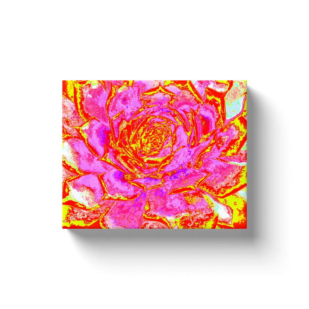 Canvas Wrapped Art Prints, Hot Pink, Red and Yellow Succulent Sedum Rosette