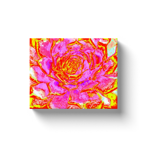 Canvas Wrapped Art Prints, Hot Pink, Red and Yellow Succulent Sedum Rosette