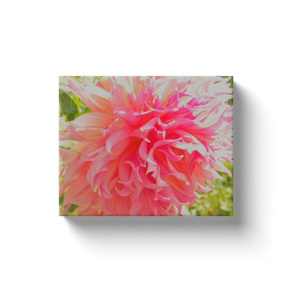 Canvas Wraps, Elegant Coral and Pink Decorative Dahlia