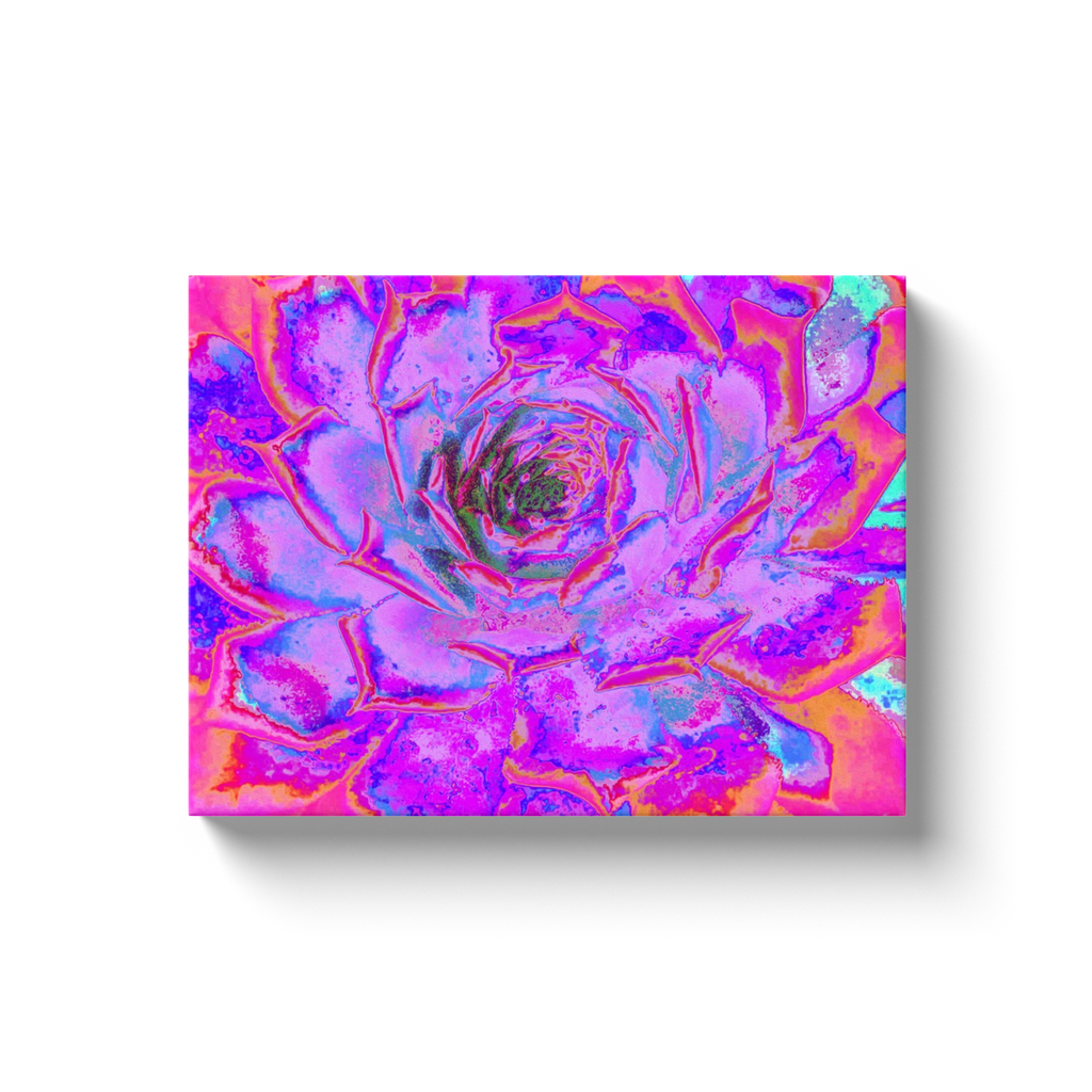 Canvas Wraps, Purple and Magenta Succulent Sedum Rosette