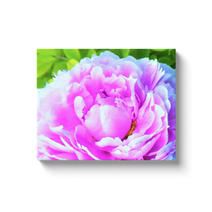 Canvas Wraps, Stunning Double Pink Peony Flower Detail