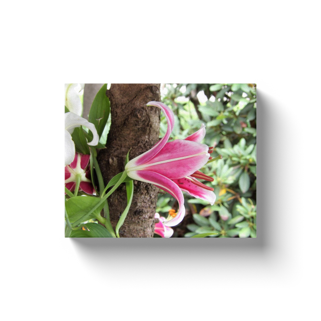 Canvas Wraps, Elegant Stargazer Lily Flower