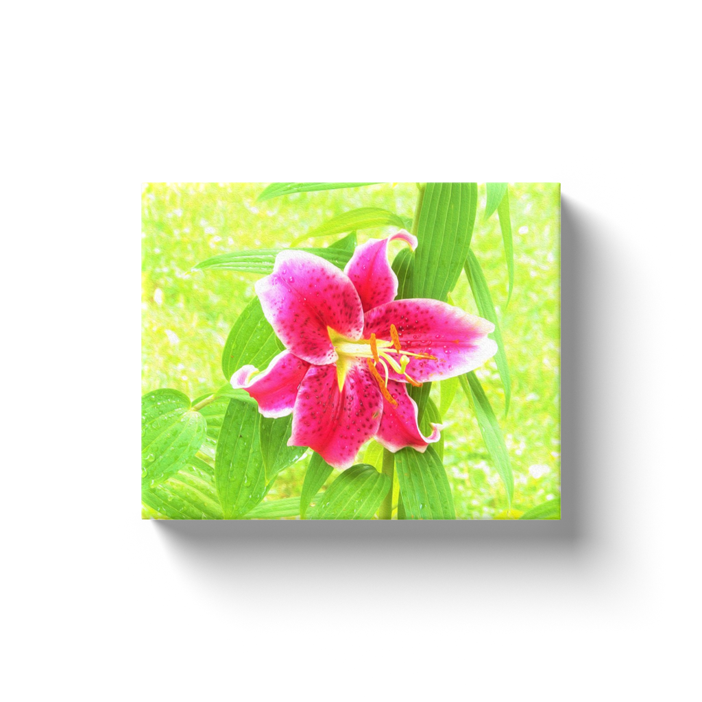 Canvas Wraps, Pretty Deep Pink Stargazer Lily on Lime Green