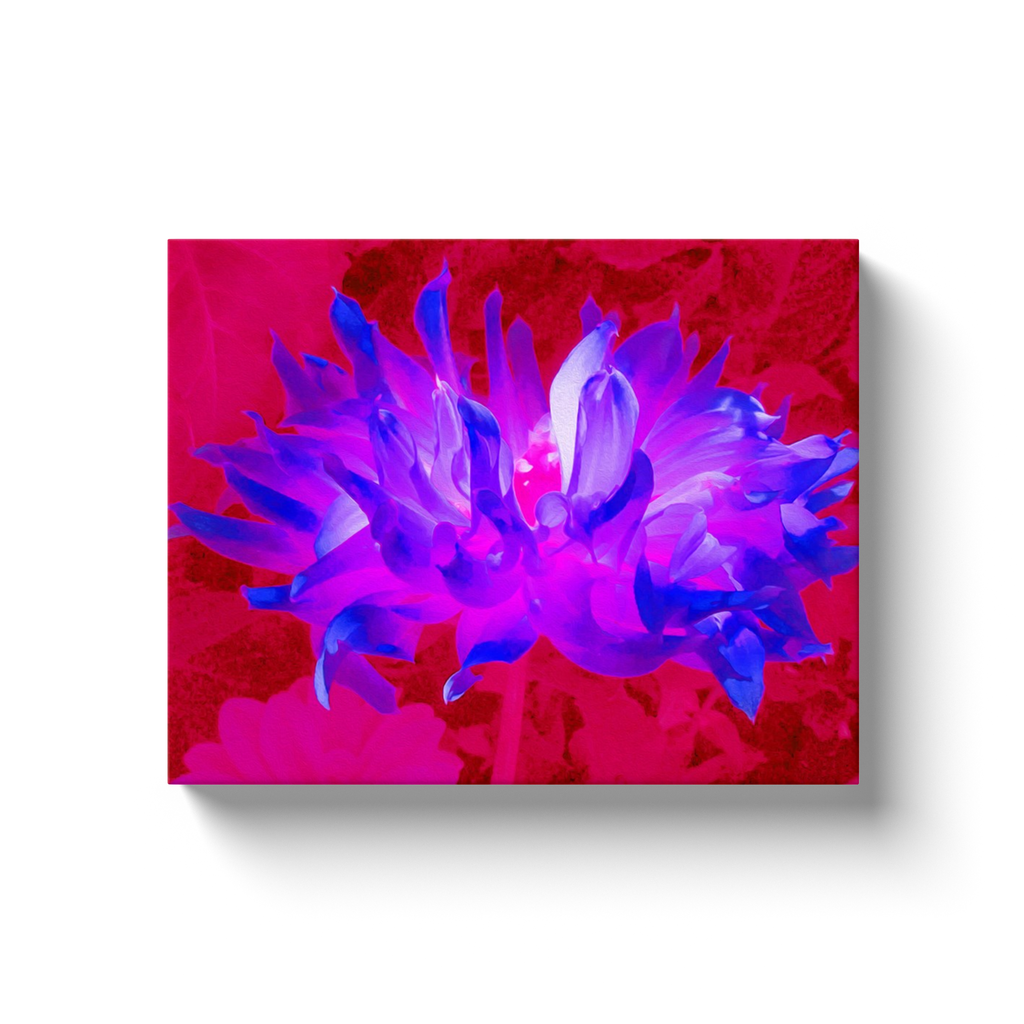 Canvas Wraps, Stunning Violet Blue and Hot Pink Cactus Dahlia
