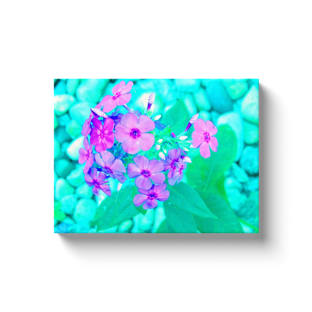 Canvas Wrapped Art Prints, Pretty Pink Garden Phlox Flower on Aquamarine