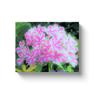 Canvas Wraps, Hot Pink and White Peppermint Twist Garden Phlox