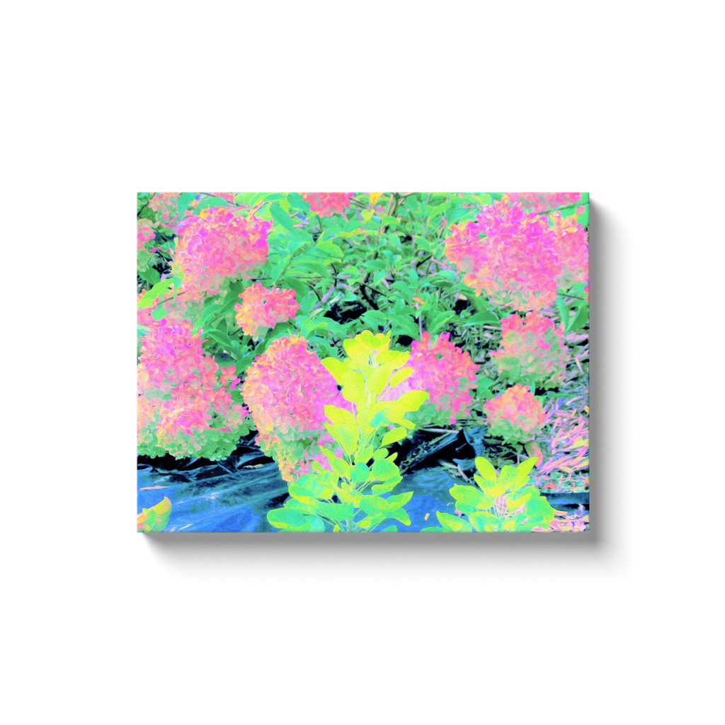 Canvas Wraps, Pink Hydrangea Garden with Yellow Foliage