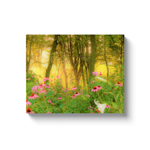 Canvas Wraps, Golden Sunrise with Pink Coneflowers in My Garden