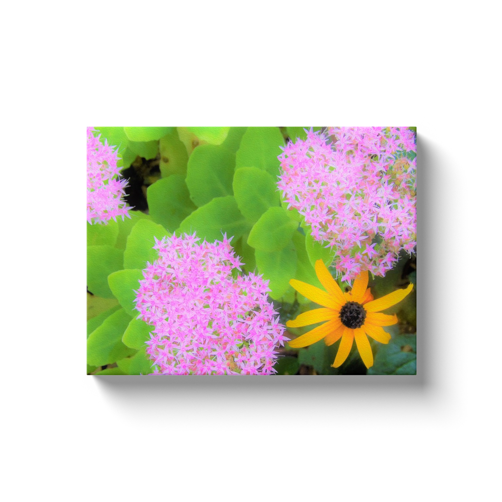 Canvas Wraps, Succulent Hot Pink Sedum and Yellow Rudbeckia