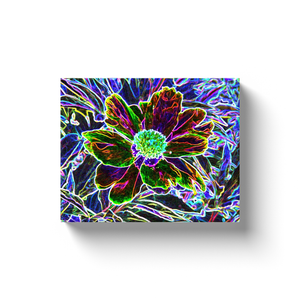 Canvas Wraps, Abstract Garden Peony in Black and Blue