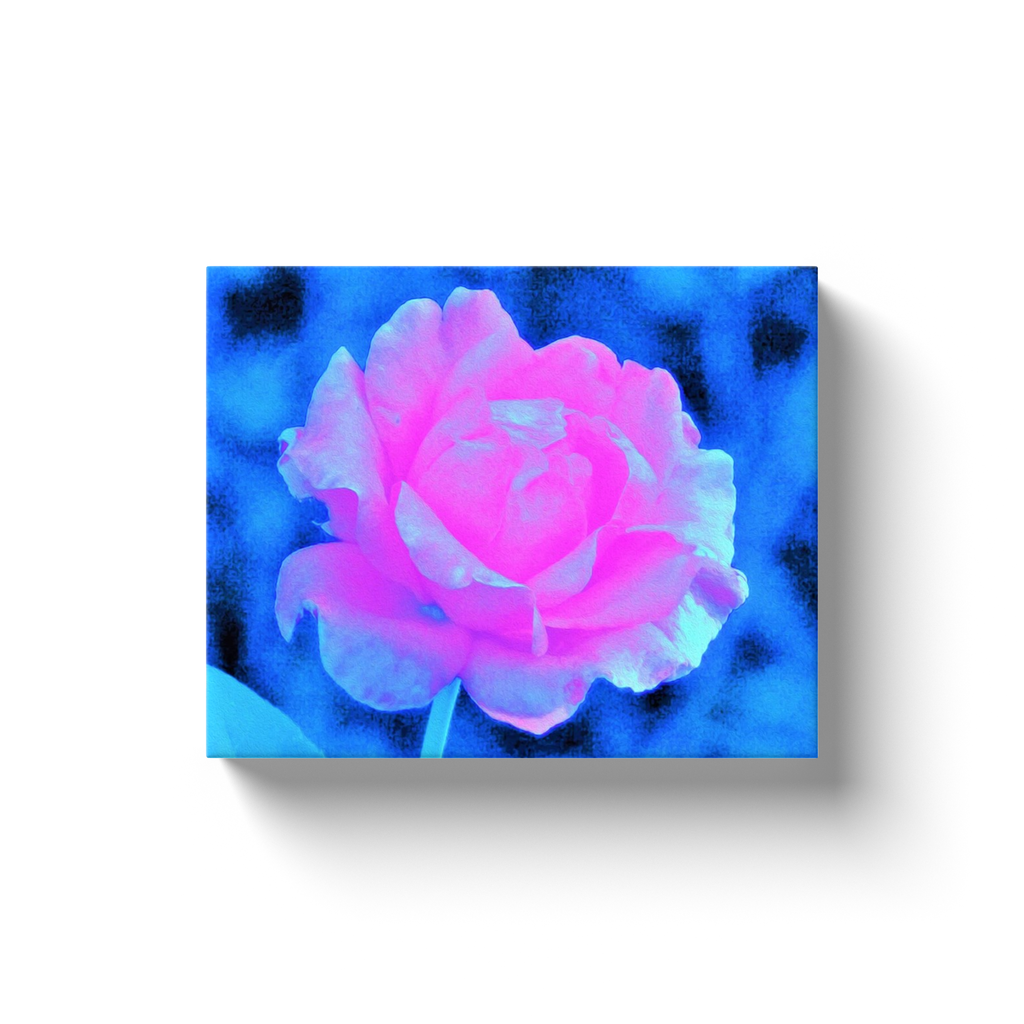 Canvas Wraps, Beautiful Pastel Pink Rose with Blue Background
