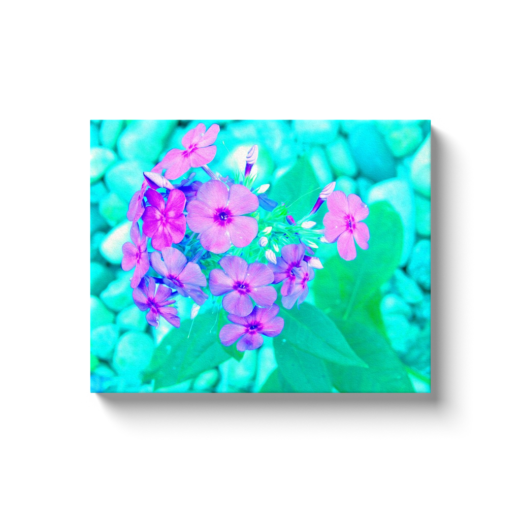 Canvas Wrapped Art Prints, Pretty Pink Garden Phlox Flower on Aquamarine