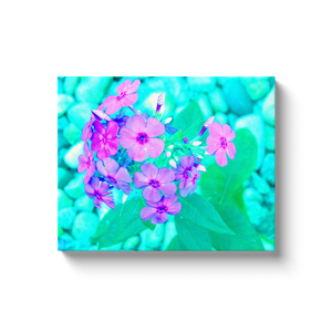 Canvas Wrapped Art Prints, Pretty Pink Garden Phlox Flower on Aquamarine