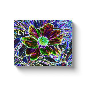 Canvas Wraps, Abstract Garden Peony in Black and Blue