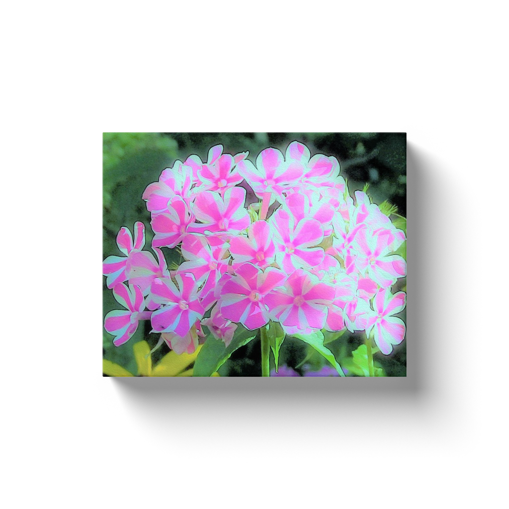 Canvas Wraps, Hot Pink and White Peppermint Twist Garden Phlox