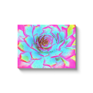 Canvas Wrapped Art Prints, Hot Pink and Blue Succulent Sedum Rosette