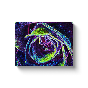 Canvas Wrapped Art Prints, Graphic Black White Blue and Green Rose Detail