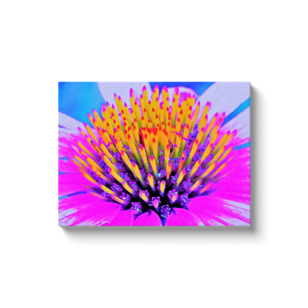 Canvas Wraps, Abstract Macro Hot Pink and Yellow Coneflower