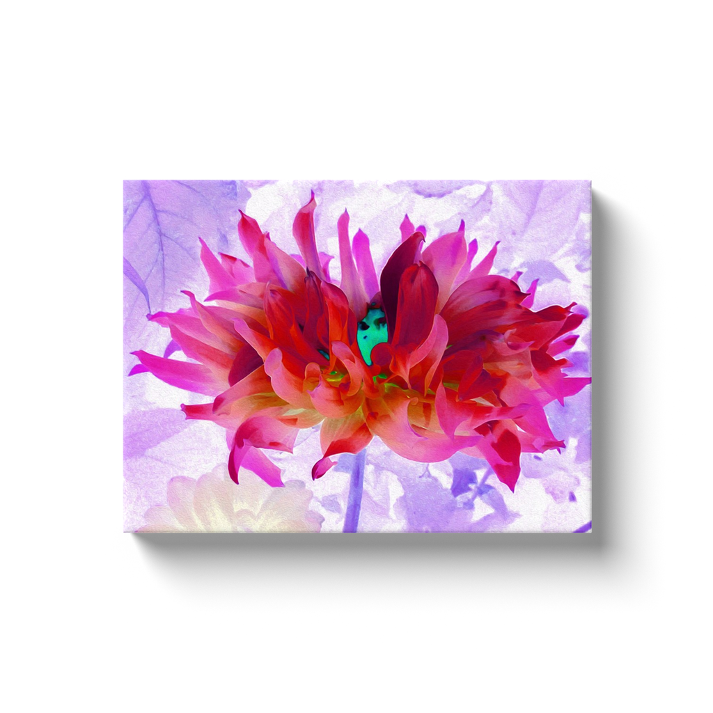 Canvas Wraps, Stunning Red and Hot Pink Cactus Dahlia