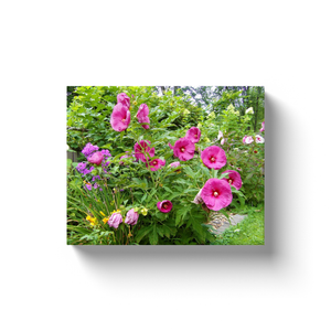 Canvas Wraps, Beautiful Deep Pink Hibiscus in the Garden
