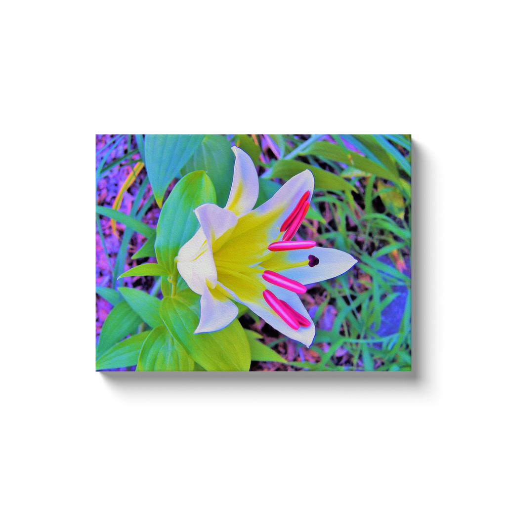 Canvas Wraps, Beautiful White Trumpet Lily with Yellow Center