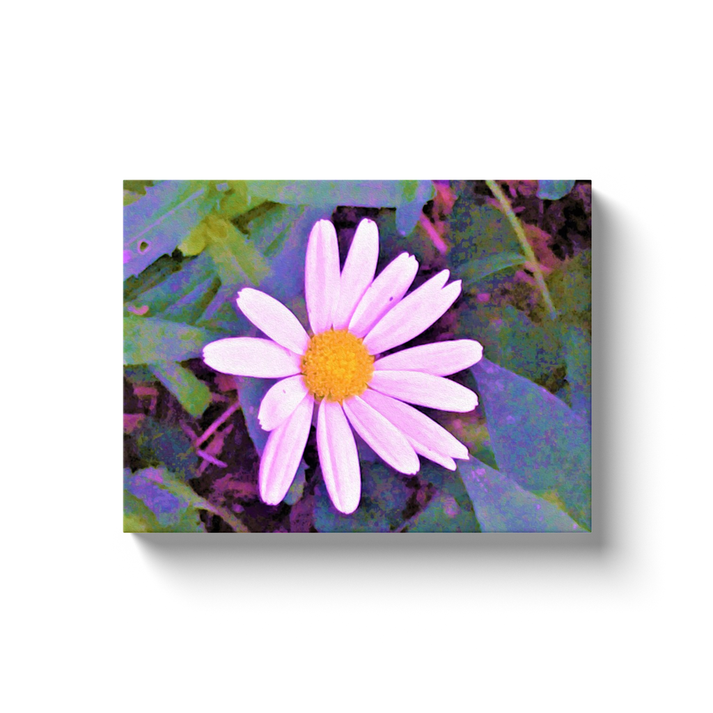 Canvas Wraps, Pink Daisy Flower