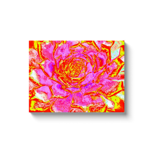 Canvas Wrapped Art Prints, Hot Pink, Red and Yellow Succulent Sedum Rosette