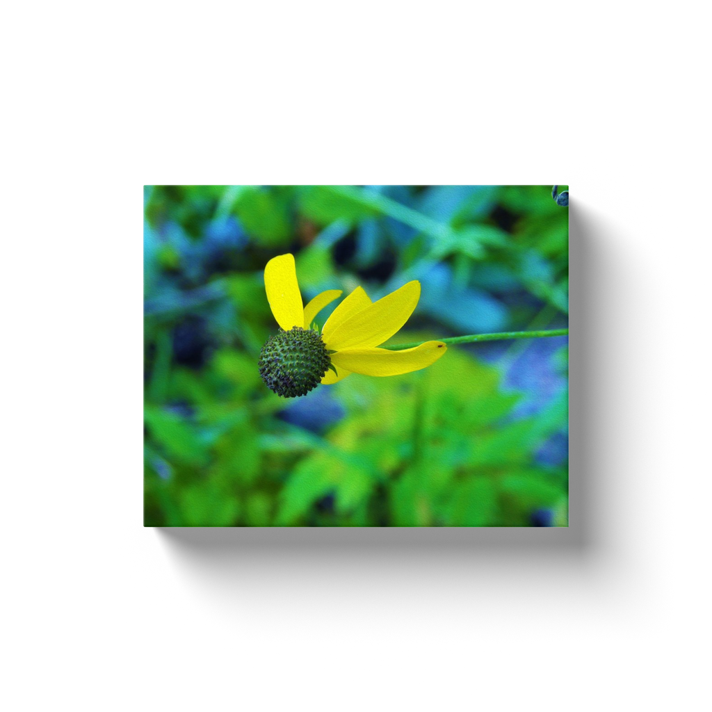 Canvas Wrapped Art Prints, Yellow Iowa Wildflower Soaring in the Garden Blue