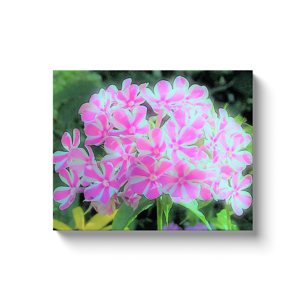 Canvas Wraps, Hot Pink and White Peppermint Twist Garden Phlox