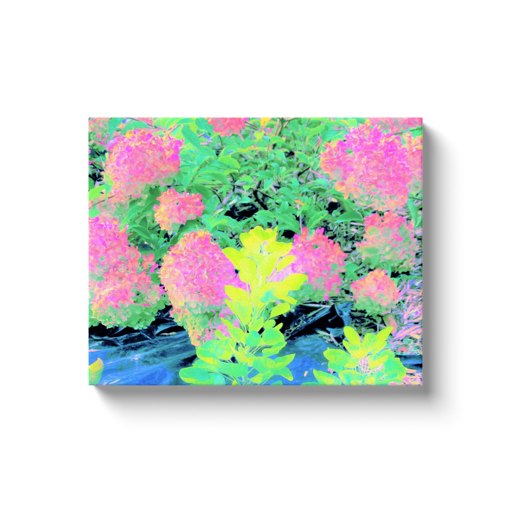 Canvas Wraps, Pink Hydrangea Garden with Yellow Foliage