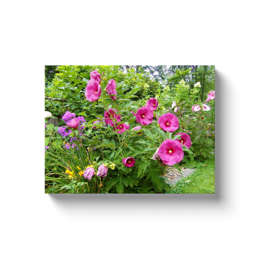Canvas Wraps, Beautiful Deep Pink Hibiscus in the Garden