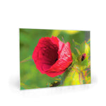 Glass Cutting Boards, Modern Red Hibiscus with Golden Green Foliage