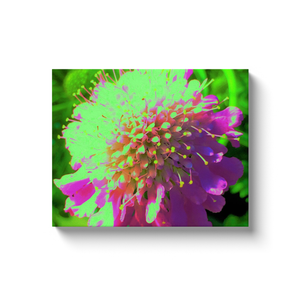 Canvas Wraps, Abstract Pincushion Flower in Lime Green and Purple