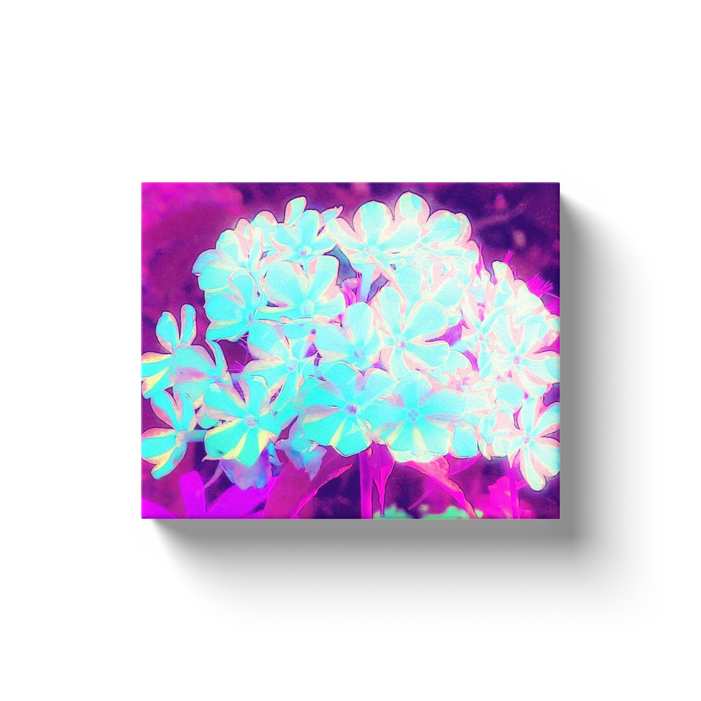 Canvas Wraps, Robin's Egg Blue Peppermint Twist Phlox Flowers