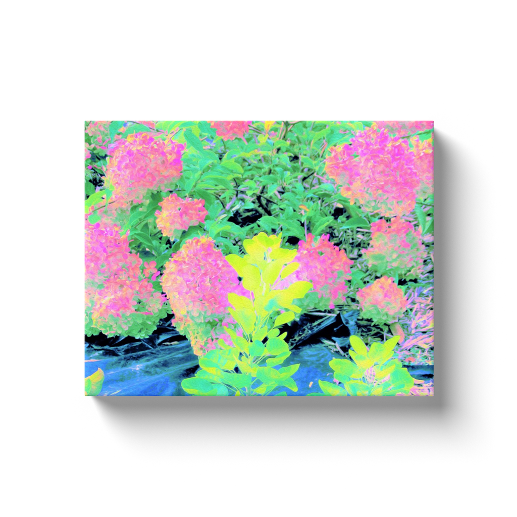 Canvas Wraps, Pink Hydrangea Garden with Yellow Foliage