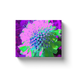 Canvas Wraps, Abstract Pincushion Flower in Pink Blue and Green