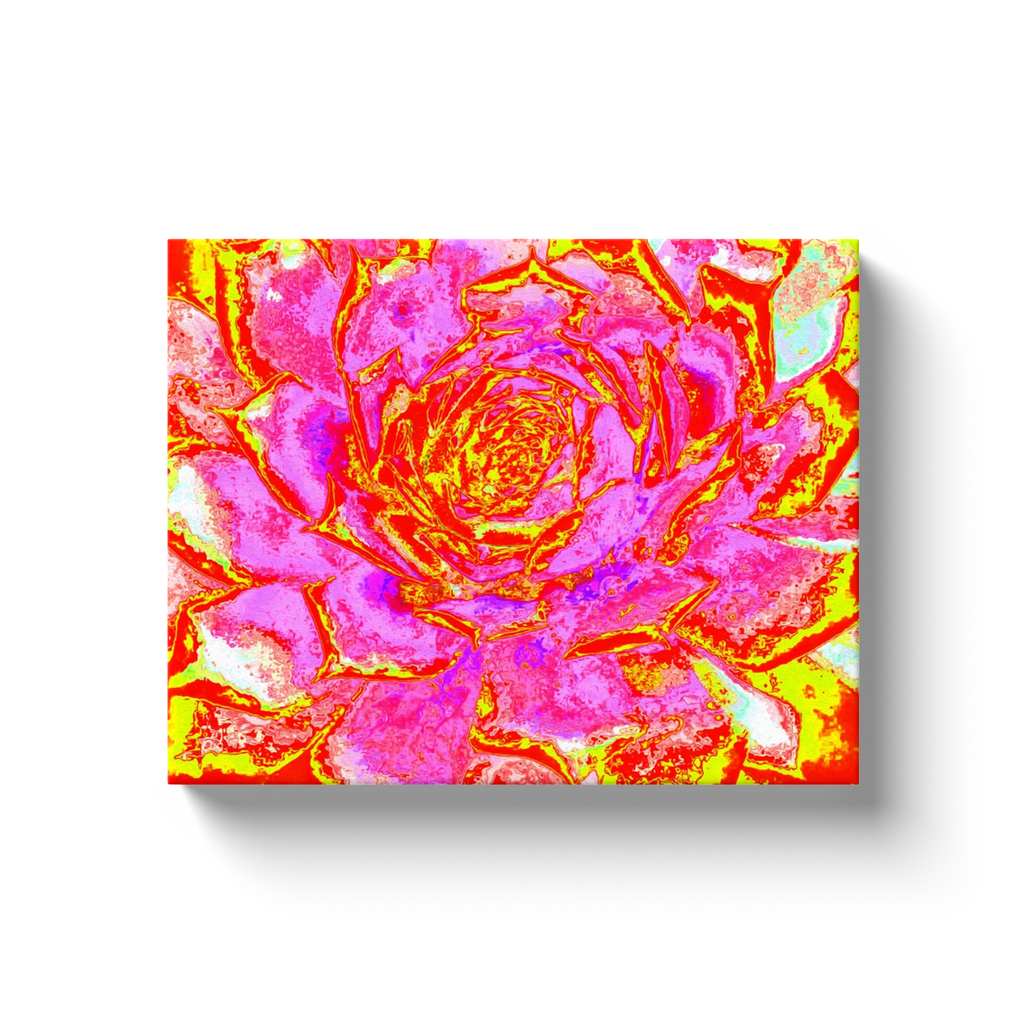 Canvas Wrapped Art Prints, Hot Pink, Red and Yellow Succulent Sedum Rosette