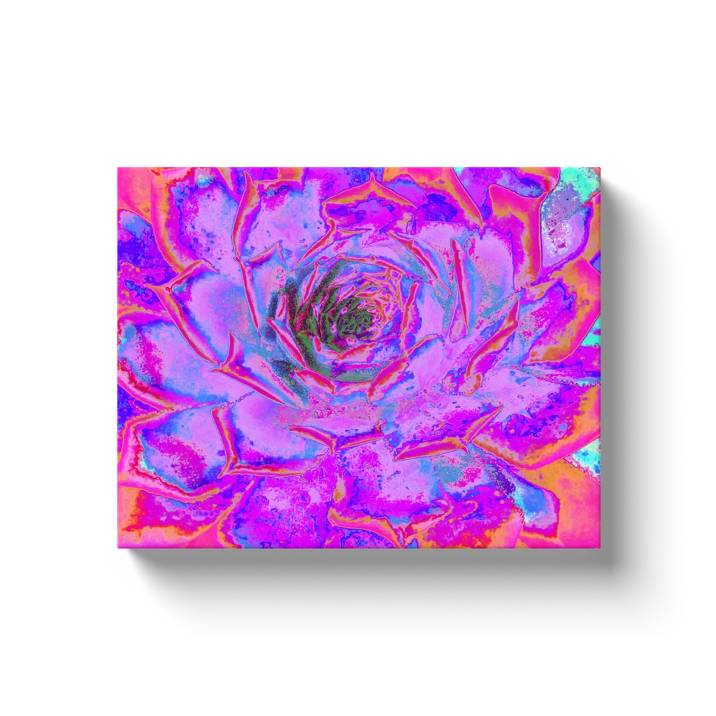 Canvas Wraps, Purple and Magenta Succulent Sedum Rosette