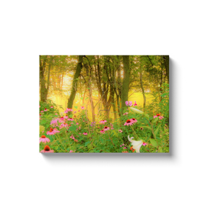 Canvas Wraps, Golden Sunrise with Pink Coneflowers in My Garden