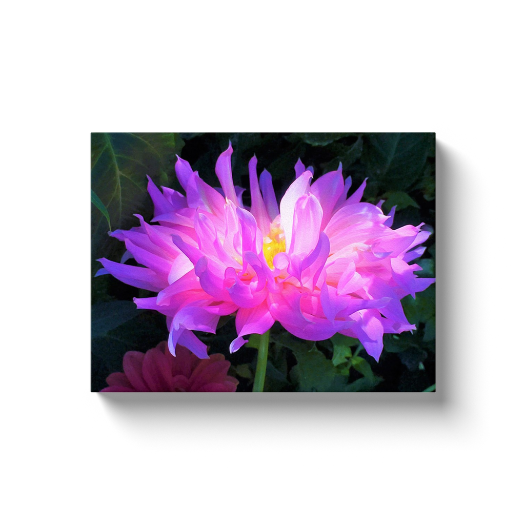 Canvas Wraps, Stunning Pink and Purple Cactus Dahlia
