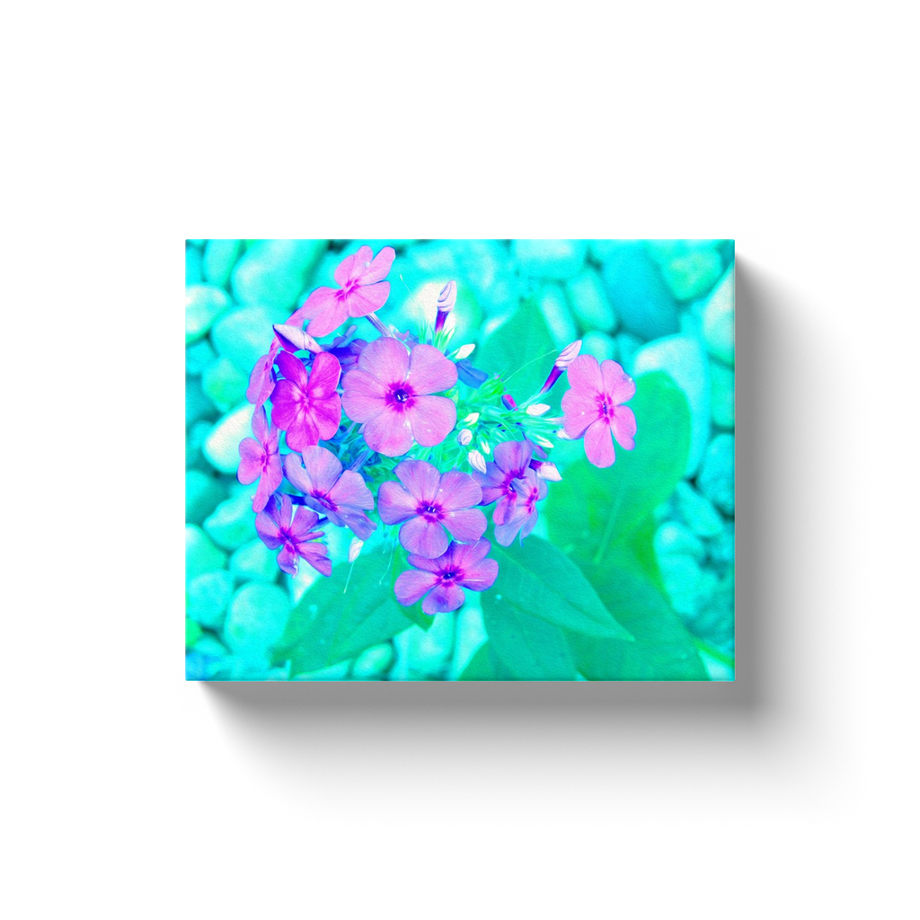 Canvas Wrapped Art Prints, Pretty Pink Garden Phlox Flower on Aquamarine