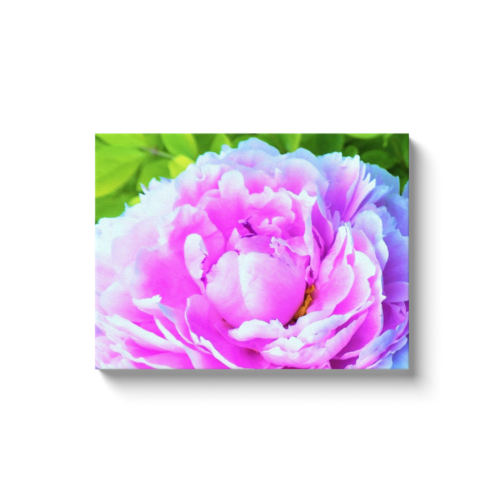 Canvas Wraps, Stunning Double Pink Peony Flower Detail