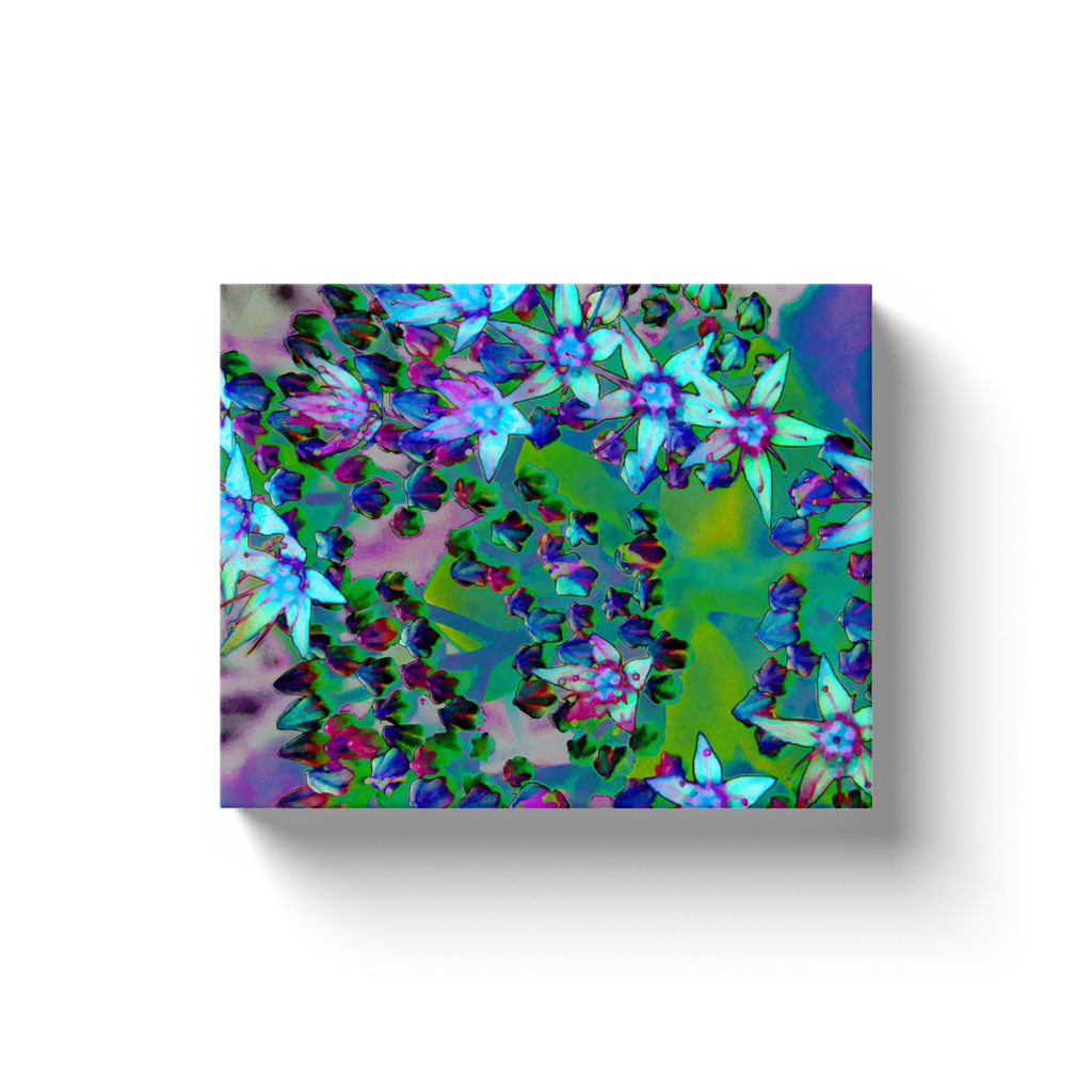 Canvas Wraps, Succulent Sedum Flowers in Aqua, Purple and Blue