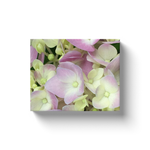 Canvas Wraps, Antique White and Dusty Pink Hydrangea Petals