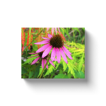 Canvas Wraps, Purple Coneflower with Stunning Green Foliage